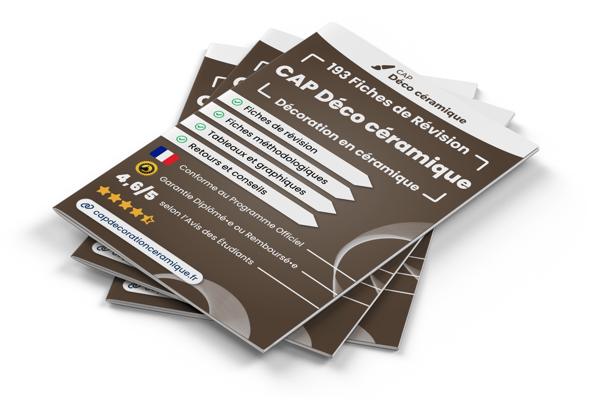 Image produit fiches-de-revision